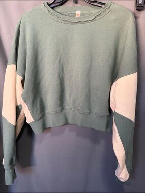 Mona B Sage Green and Cream Colorblock Crewneck Sweater